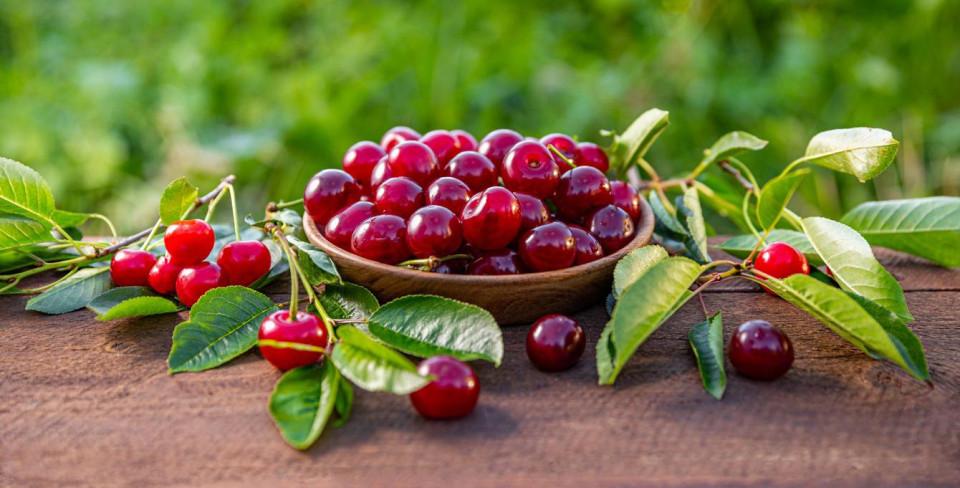 Фото: grafvision / Shutterstock / FOTODOM