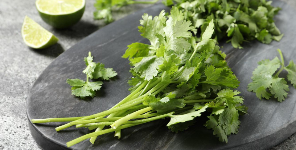 Фото: New Africa / Shutterstock / FOTODOM