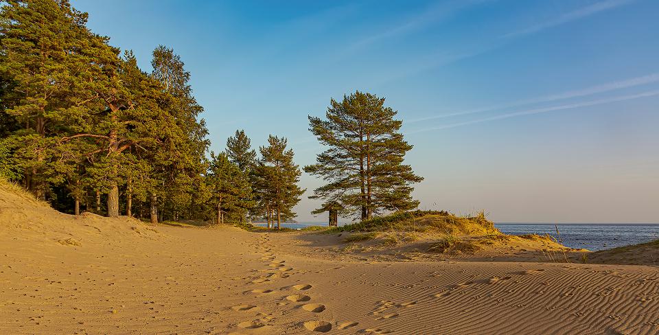 Фото: Zoya Avenirovna / Shutterstock / Fotodom