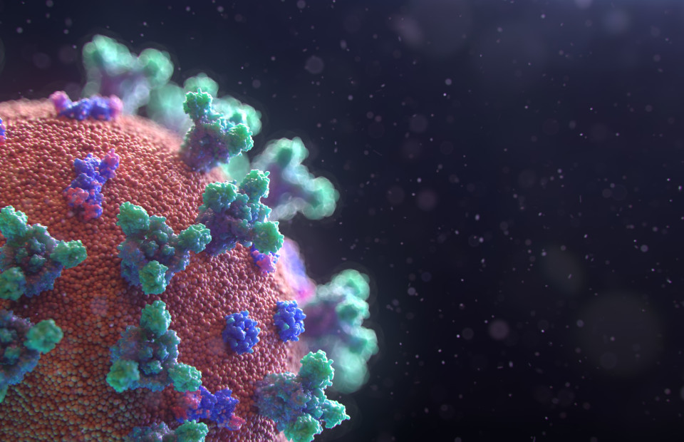 Фото: Fusion Medical Animation/Unsplash