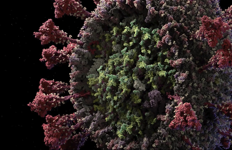 Фото: Visual Science / vimeo