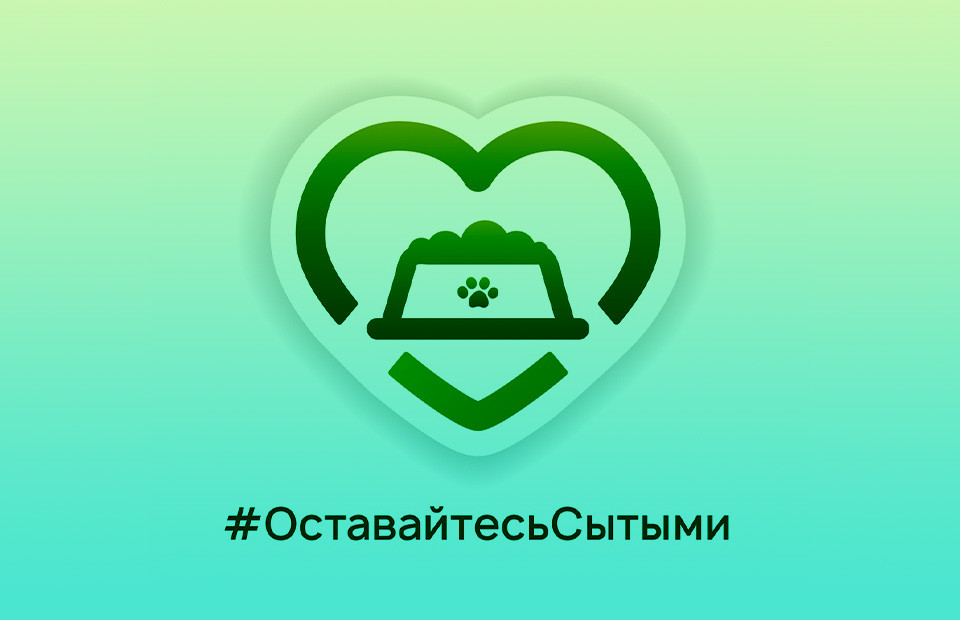Фото: пресс-служба