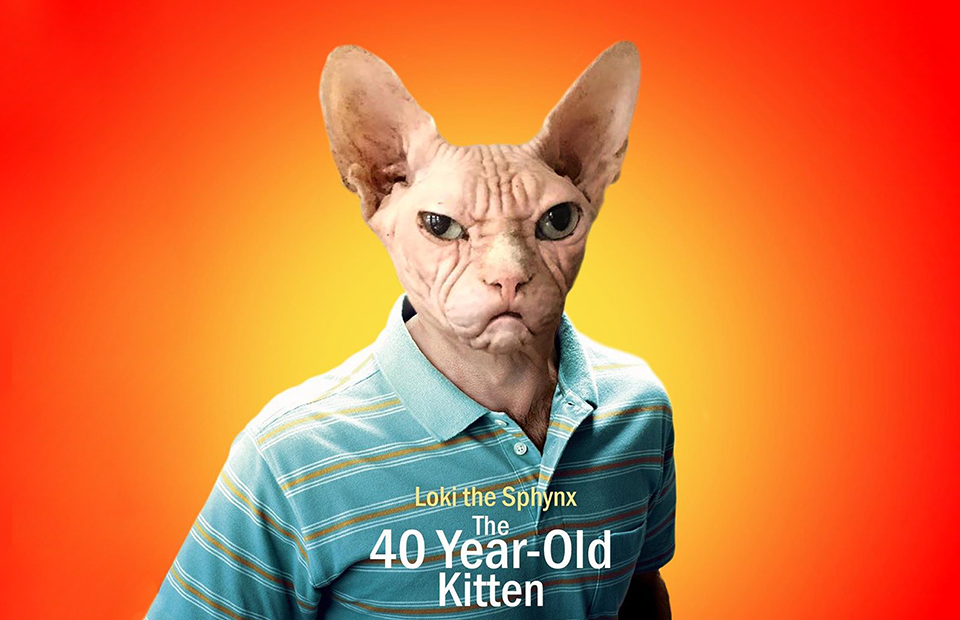 Фото: instagram.com/sphynx_flix