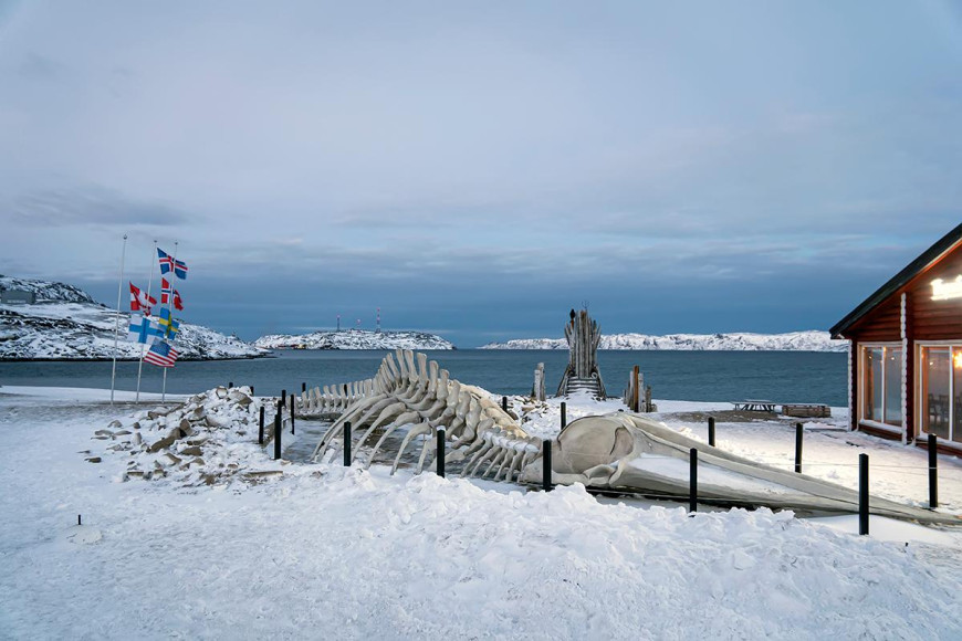 Фото: Shutterstock