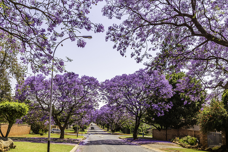 Фото: Henrique NDR Martins / istockphoto.com