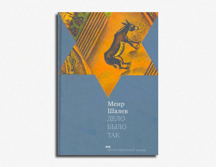 Меир Шалев, «Дело было так»