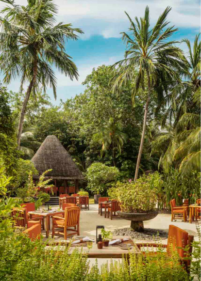 Ресторан Botanica на курорте на курорте One&Only Reethi Rah (Мальдивы)