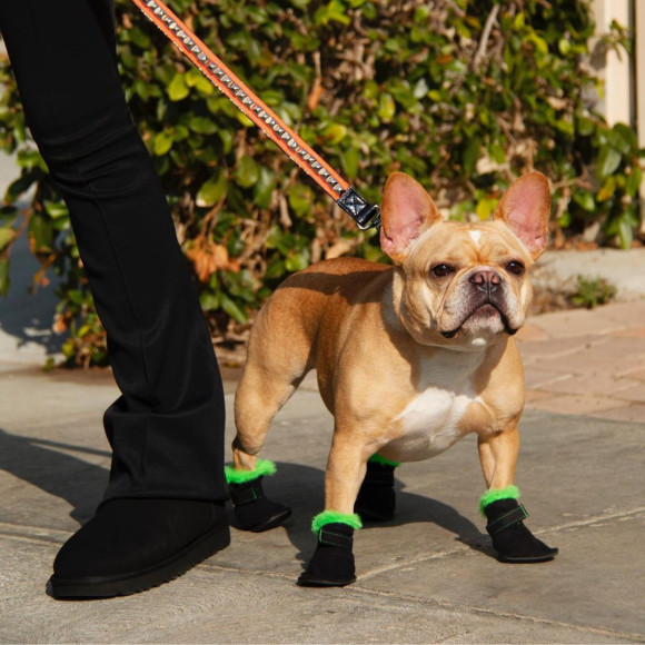 Обувь из коллаборации UGG и Very Important Puppies (V.I.P.)