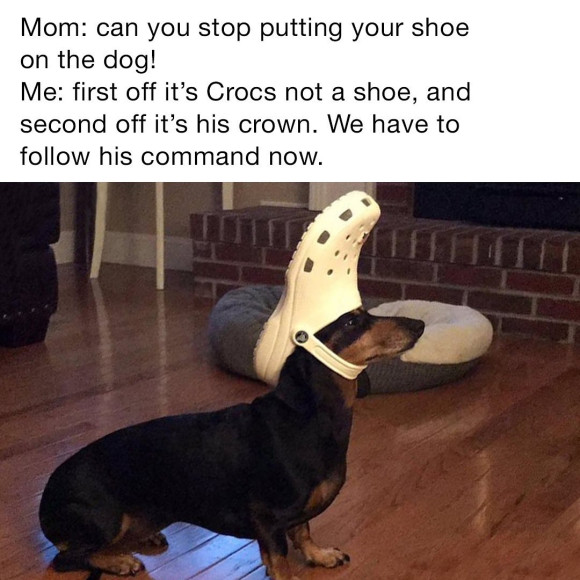 Мемы от компании Crocs