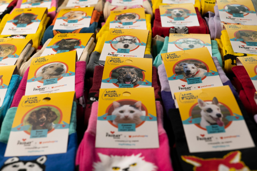 Носки St. Friday Socks с фотографиями реальных питомцев из приютов