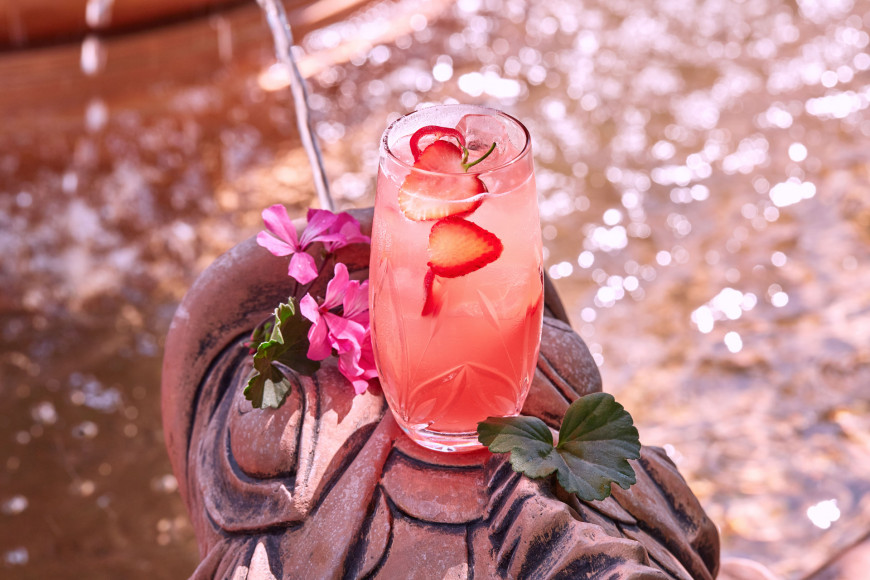 Pink Paloma
