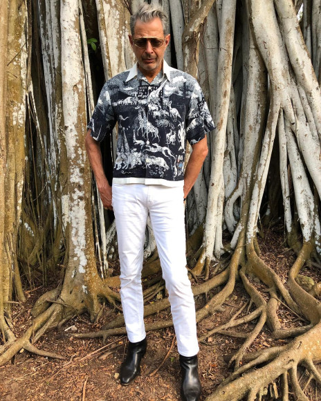 Фото: instagram.com/jeffgoldblum