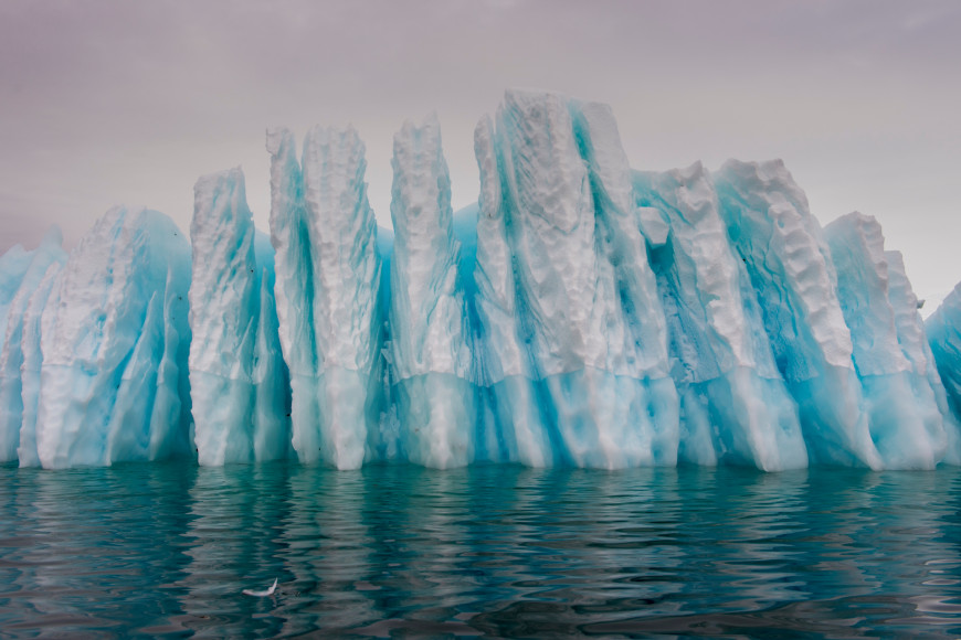 Фото: Poseidon Expeditions
