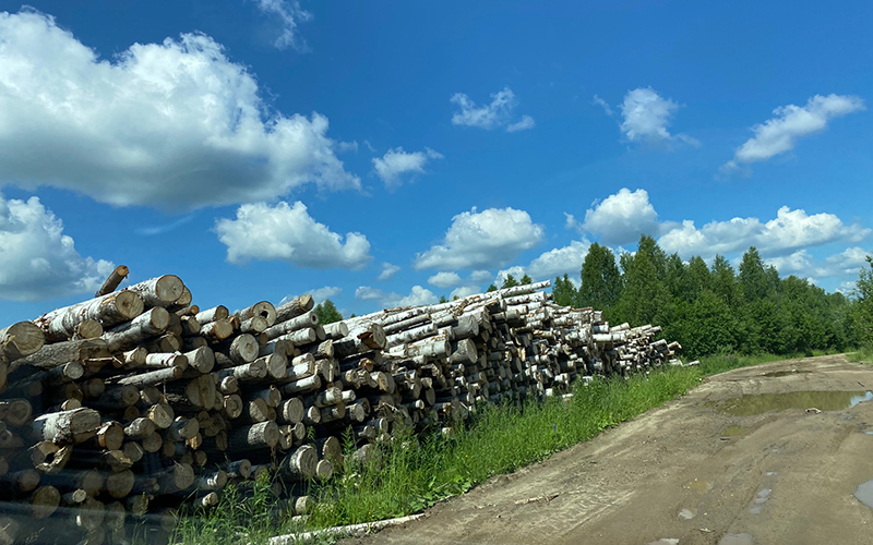 По дороге в деревню Верхний Рыстюг, Вологодская область