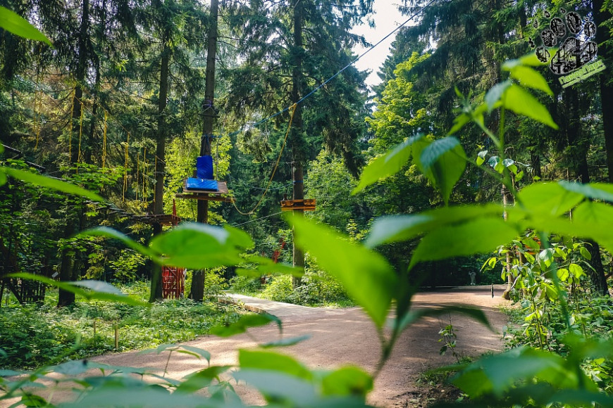 Фото: park-meshersky.ru