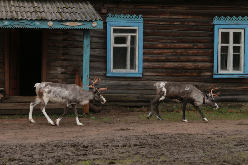 Фото: kinopoisk.ru