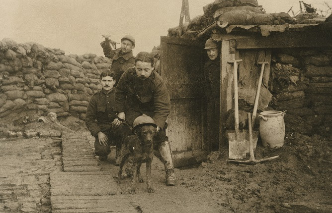 Неизвестный автор. «Любимец окопов, который знает войну», 1914-1918