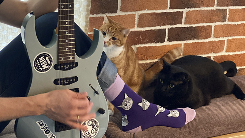 Проект St. Friday Socks «Мир, дружба, лапки!»