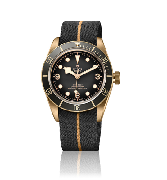 Tudor Black Bay Bronze