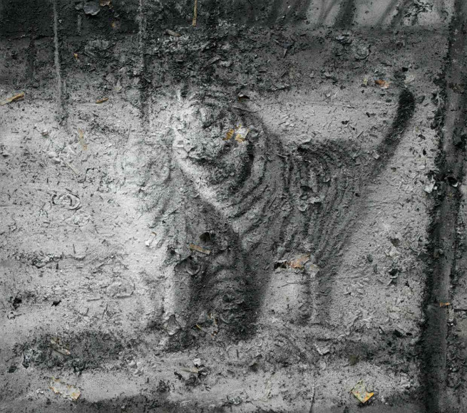 Чжан Хуань. «Свободные тигры возвращаются в горы, No 12», 2010