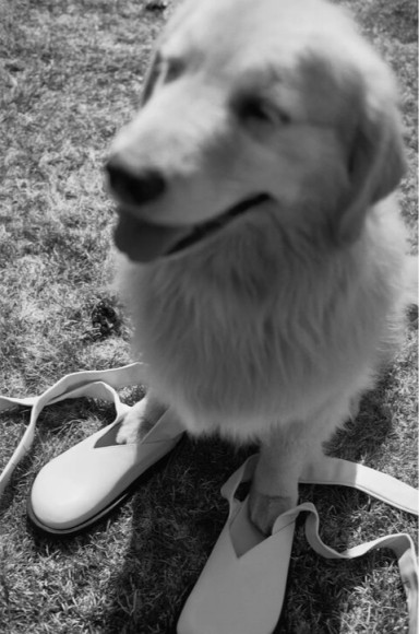 Коллаборация Jil Sander X Birkenstock