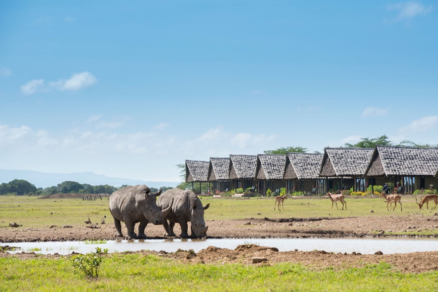 Носороги рядом с отелем Sweetwater’s Serena Camp