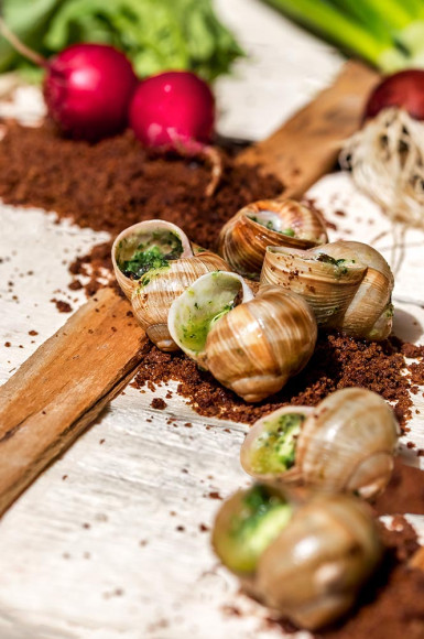 Улитки «Escargot» в саду от шеф-повара («земля» из хлеба, свежий редис, морковь)