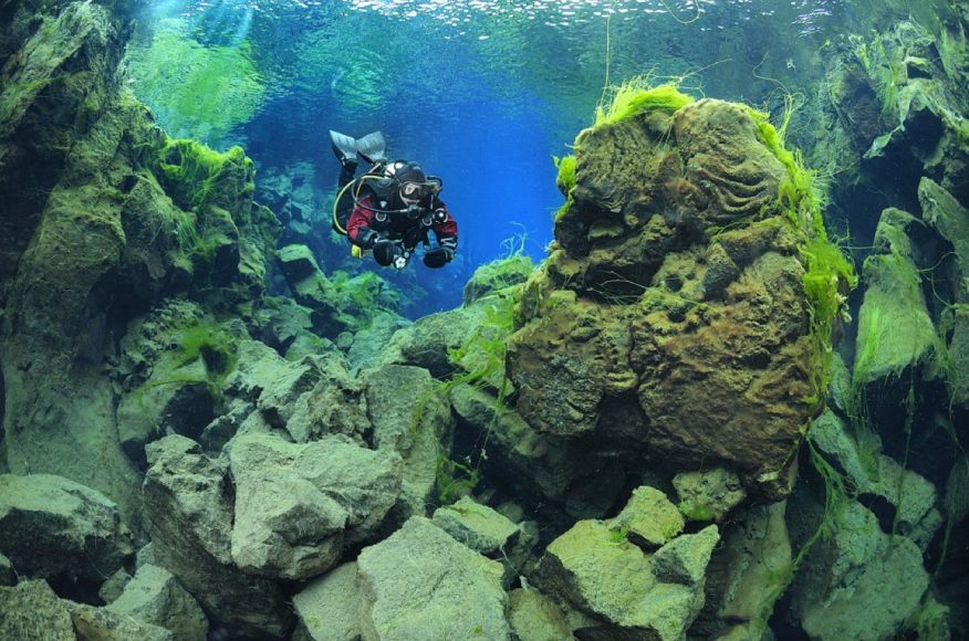 Фото: dive.is