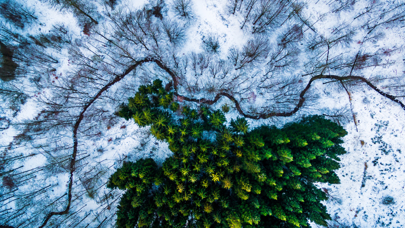 Фото: dronestagr.am | Mbernholdt