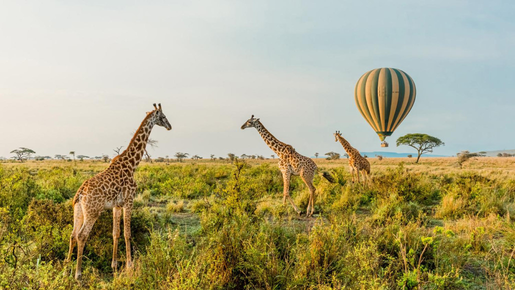 Тур African Wonders