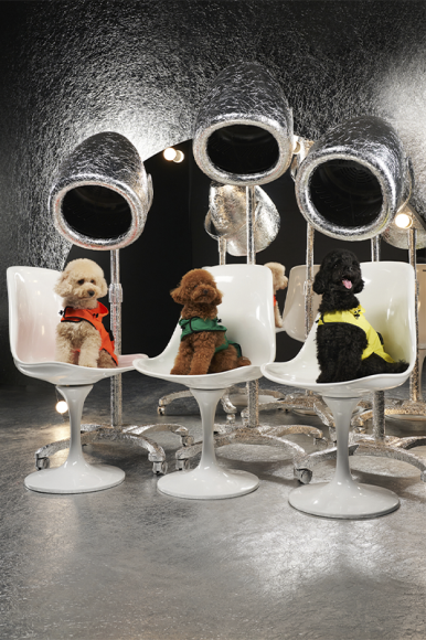 Moncler X Poldo Dog Couture