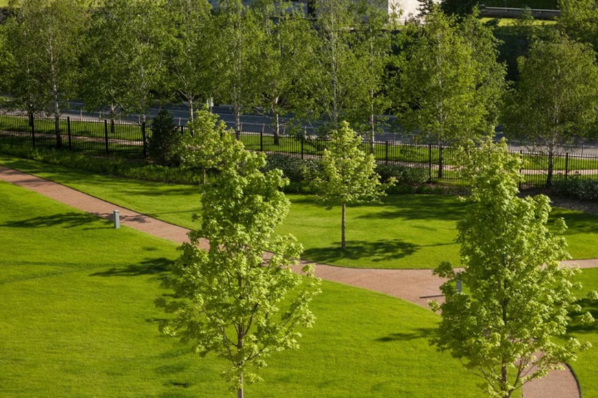 Фото: skolkovo-park.net