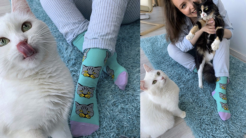 Проект St. Friday Socks «Мир, дружба, лапки!»