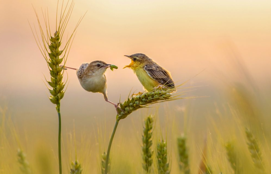 Фото: tpoty.com/tpoty-winners-galleries