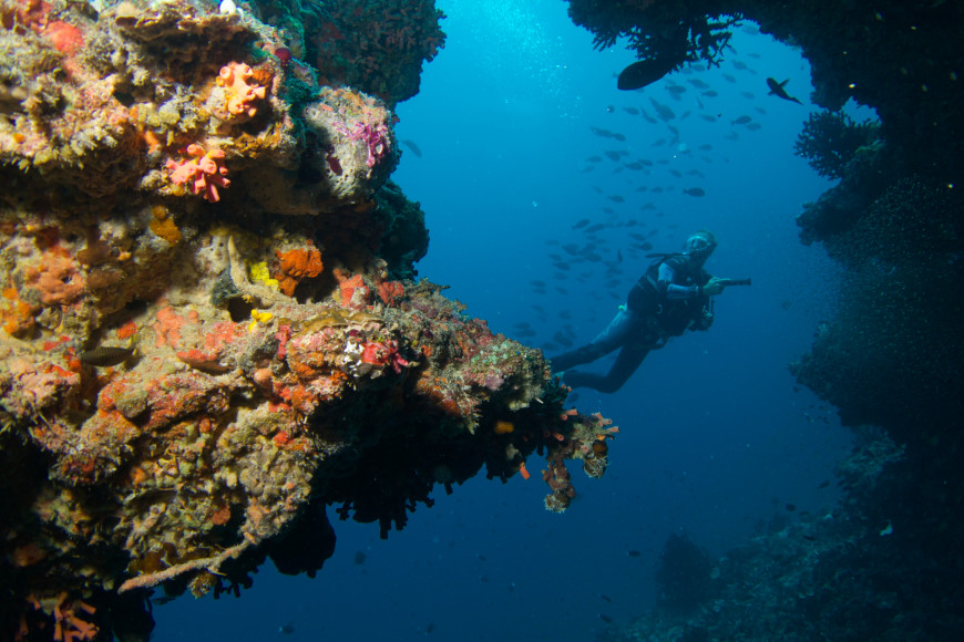 Фото: Baros Maldives