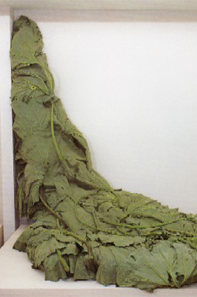 «Лавина белокопытника», 1994
