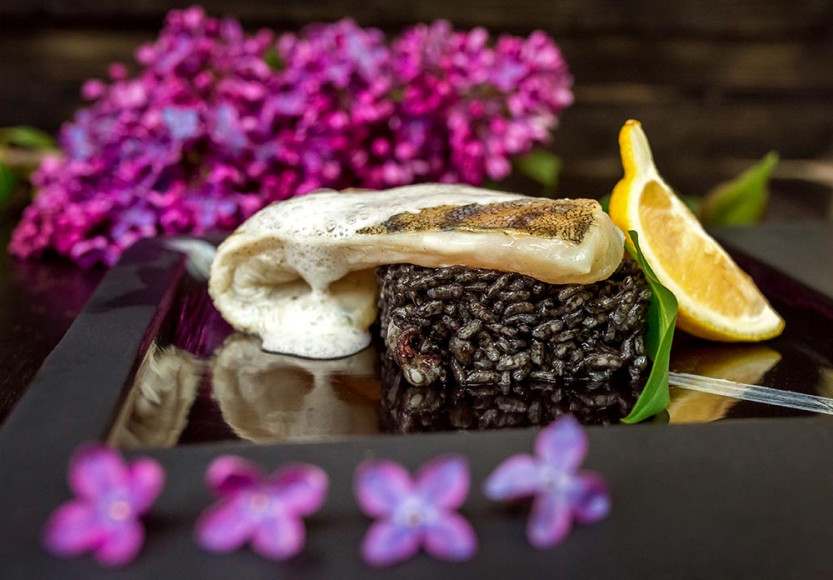 Балтийский судак, черное risotto с каракатицами, лимонным cappuccino и шафрановым соусом