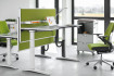 Фото:Ology