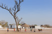 Фото:Iwan Baan / AIA
